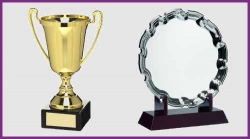 Cup Trophies & Salvers