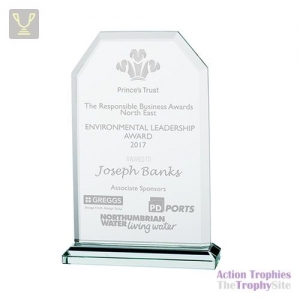 Executive Jade Glass Award 125mm