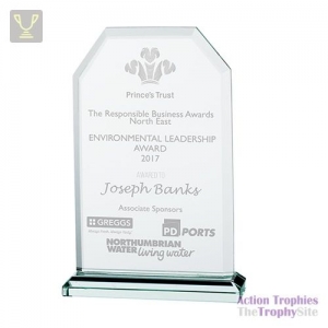 Executive Jade Glass Award 135mm