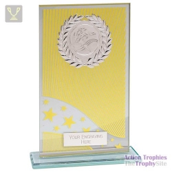 Sunstrike Glass Multisport Award Gold 165mm
