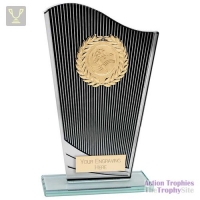 Sunstrike Multisport Wave Glass Award Black 205mm