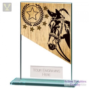 Mustang Equestrian Jade Glass Award 125mm