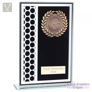 Titanium Glass Award Black 180mm