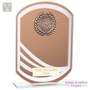 Argon Glass Award Bronze 160mm