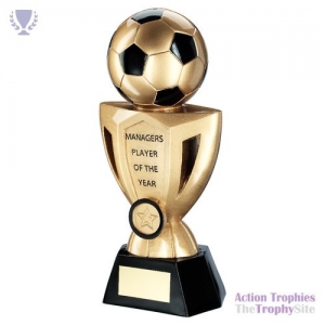Brz/Pew/Gold Football on Cup Managers Player 10in