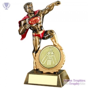 Brz/Gold/Red Resin Generic 'Hero' Award Cricket insert 7.25in