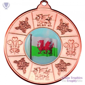 Wales Medal Bronze 2in