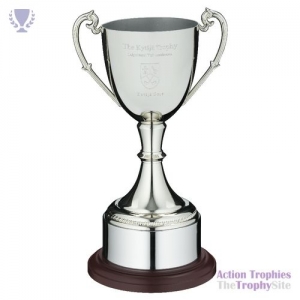 Nickel Plated Cup on Round Plinth with Band 10.75in