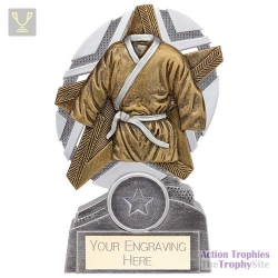 The Stars Martial Arts Plaque Award Silver & Gold 130mm