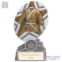 The Stars Martial Arts Plaque Award Silver & Gold 150mm