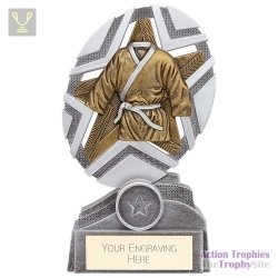 The Stars Martial Arts Plaque Award Silver & Gold 170mm