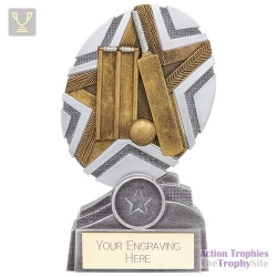 The Stars Cricket Plaque Award Silver & Gold 150mm