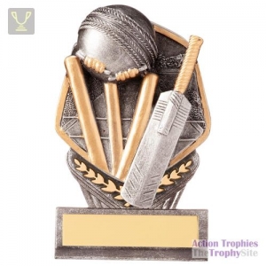 Falcon Cricket Award 105mm