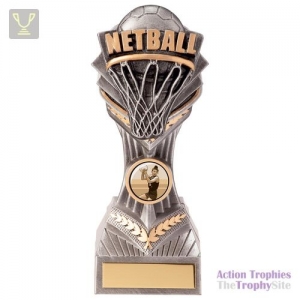 Falcon Netball Award 190mm