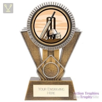 Apex Cricket Award Gold & Silver 180mm