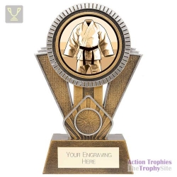 Apex Martial Arts Award Gold & Silver 180mm