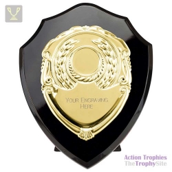 Reward Shield & Front Epic Black & Gold 150mm