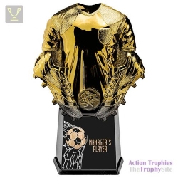 Invincible Shirt Managers Player Gold 220mm