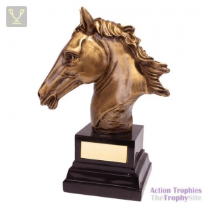 Belmont Equestrian Award 170mm