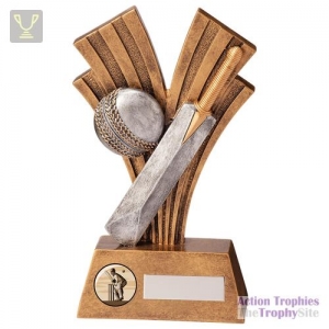 Xplode Cricket Award 180mm