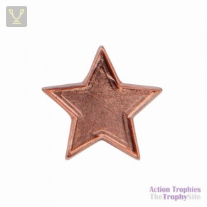 School Pin Badge Star Bronze 20mm