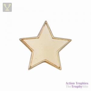 School Pin Badge Star Gold 20mm