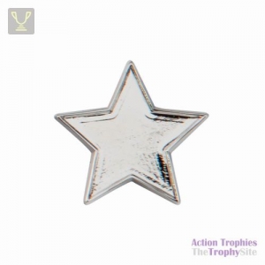 School Pin Badge Star Silver 20mm