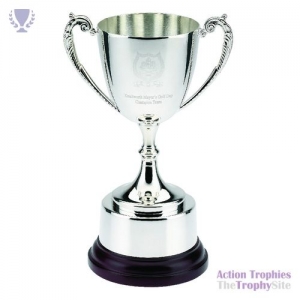 Silver Bright Plated Traditional Cup 11in