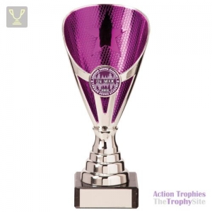 Rising Stars Premium Plastic Trophy Silver & Purple 170mm