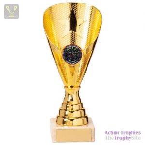 Rising Stars Premium Plastic Trophy Gold 170mm