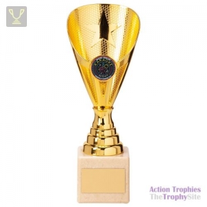 Rising Stars Premium Plastic Trophy Gold 200mm