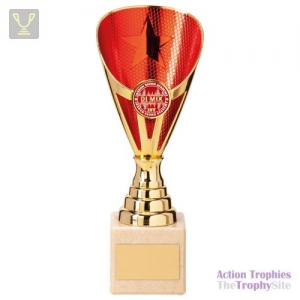 Rising Stars Premium Plastic Trophy Gold & Red 200mm