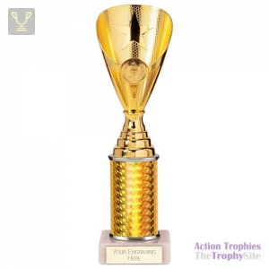 Rising Stars Plastic Trophy Gold 255mm