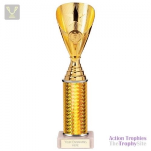 Rising Stars Plastic Trophy Gold 280mm