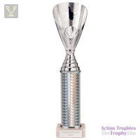 Rising Stars Plastic Trophy Silver 305mm