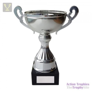 Ovation Silver Cup 280mm