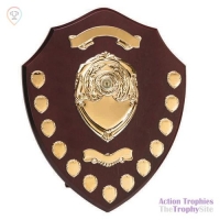 Triumph16 Gold Annual Shield 16in (40.5cm)