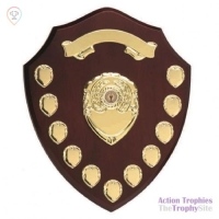 Triumph14 Gold Annual Shield 14in (35.5cm)